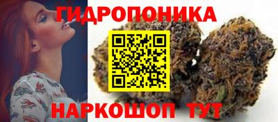 МДПВ Донецк
