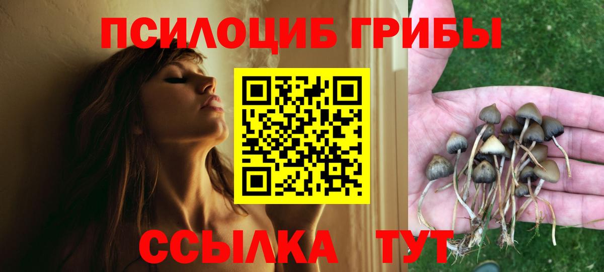 Псилоцибиновые грибы Psilocybine cubensis Усть-Илимск