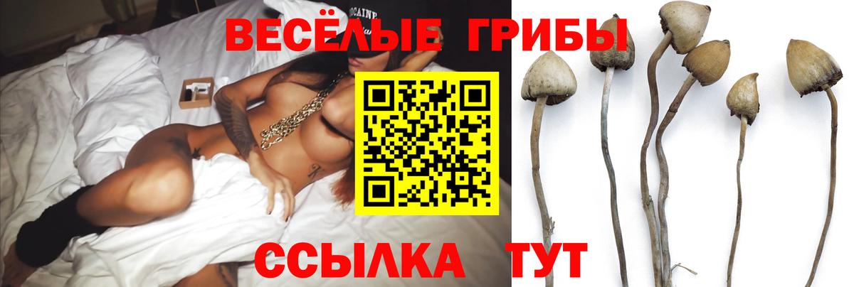 как найти закладки  Псилоцибиновые грибы Psilocybine cubensis  Вход с VPN  Усть-Илимск 